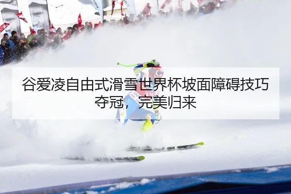 gu-ai-ling-zi-you-shi-hua-xue-shi-jie-bei-po-mian-zhang-ai-ji-qiao-duo-guan-wan-mei-gui-lai-2-219.jpg